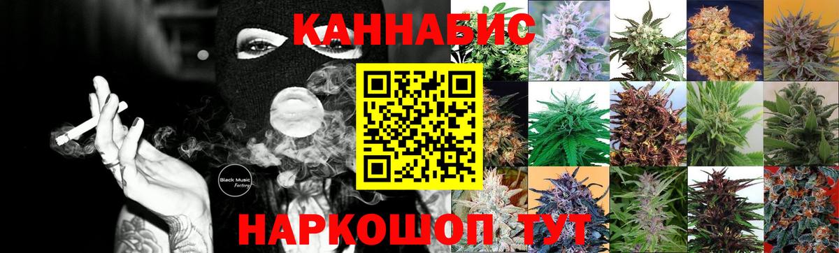 Бошки Шишки семена Губкин